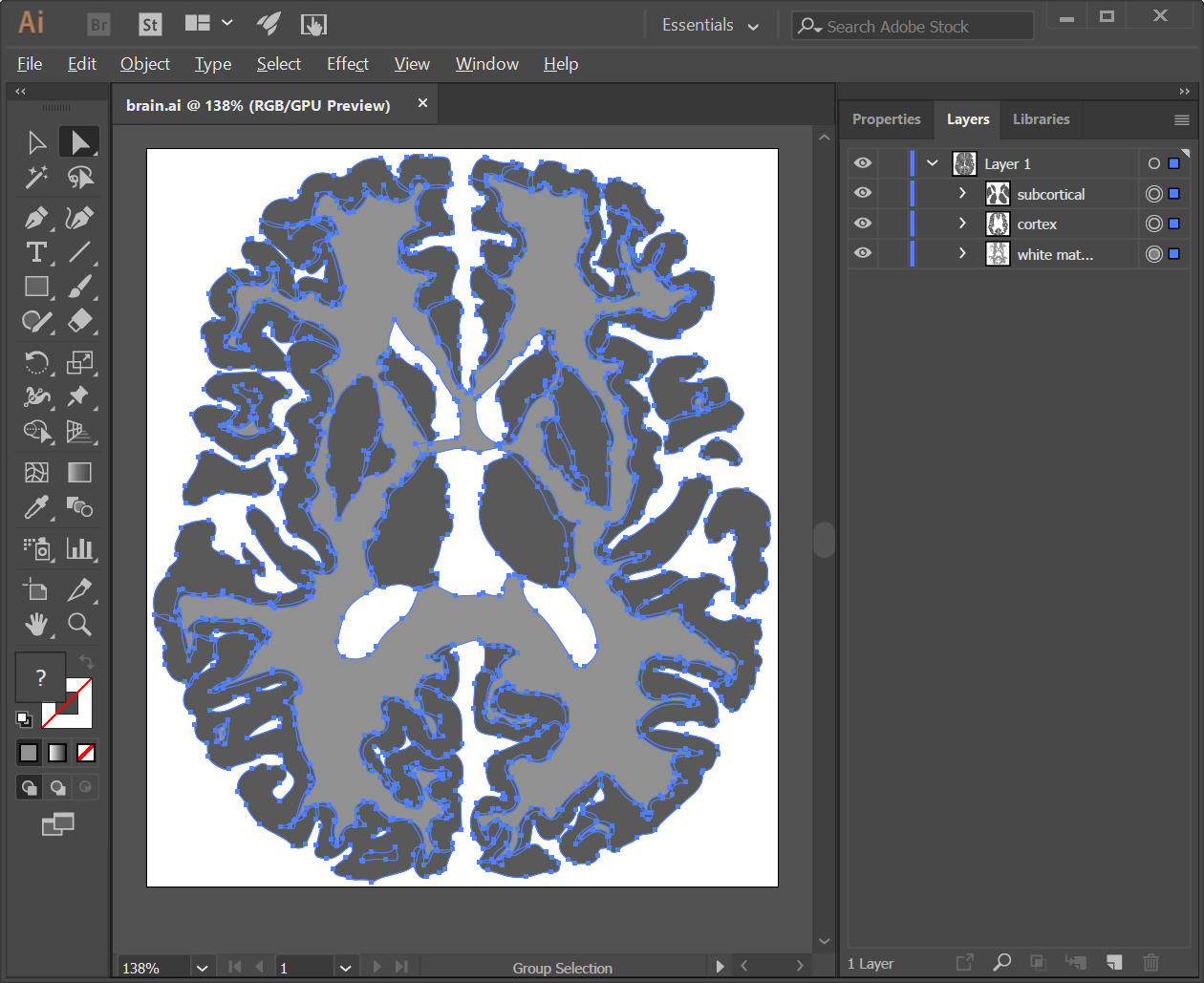 Vectorized segmented tissue